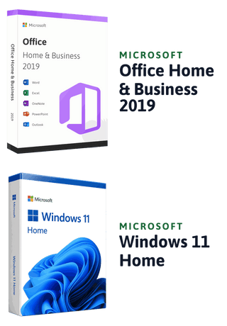 Microsoft Windows 11 Home + Microsoft Office 2019 Home & Business