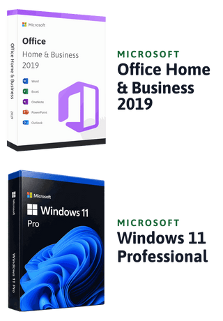 Microsoft Windows 11 Professional + Microsoft Office 2019 Home & Business