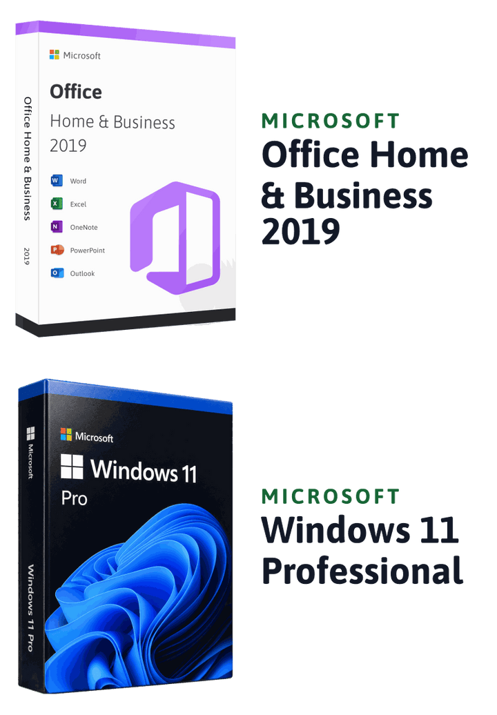 Microsoft Windows 11 Professional + Microsoft Office 2019 Home & Business