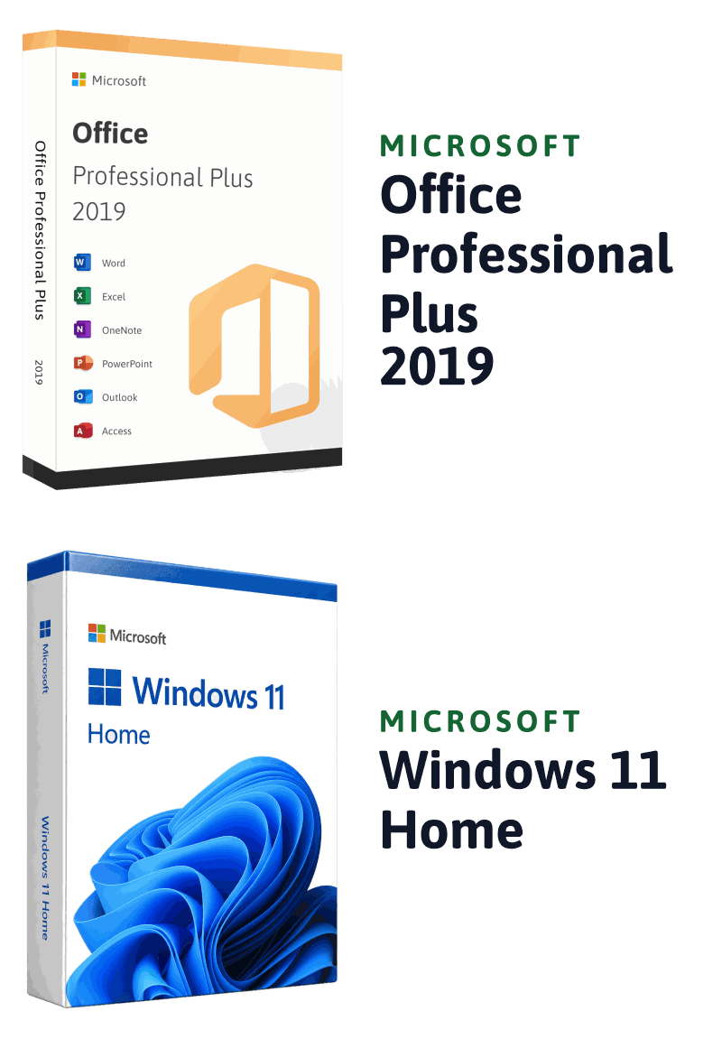 Microsoft Windows 11 Home + Microsoft Office 2019 Professional Plus