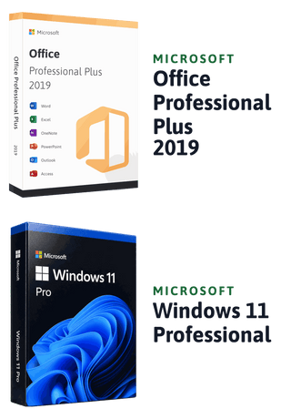 Microsoft Windows 11 Professional + Microsoft Office 2019 Professional Plus