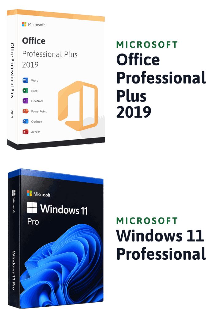 Microsoft Windows 11 Professional + Microsoft Office 2019 Professional Plus