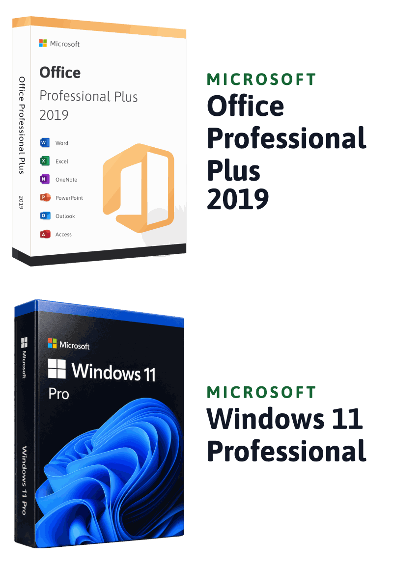 Microsoft Windows 11 Professional + Microsoft Office 2019 Professional Plus