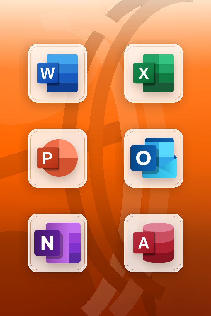 Microsoft Office 2024 Professional Plus Programme