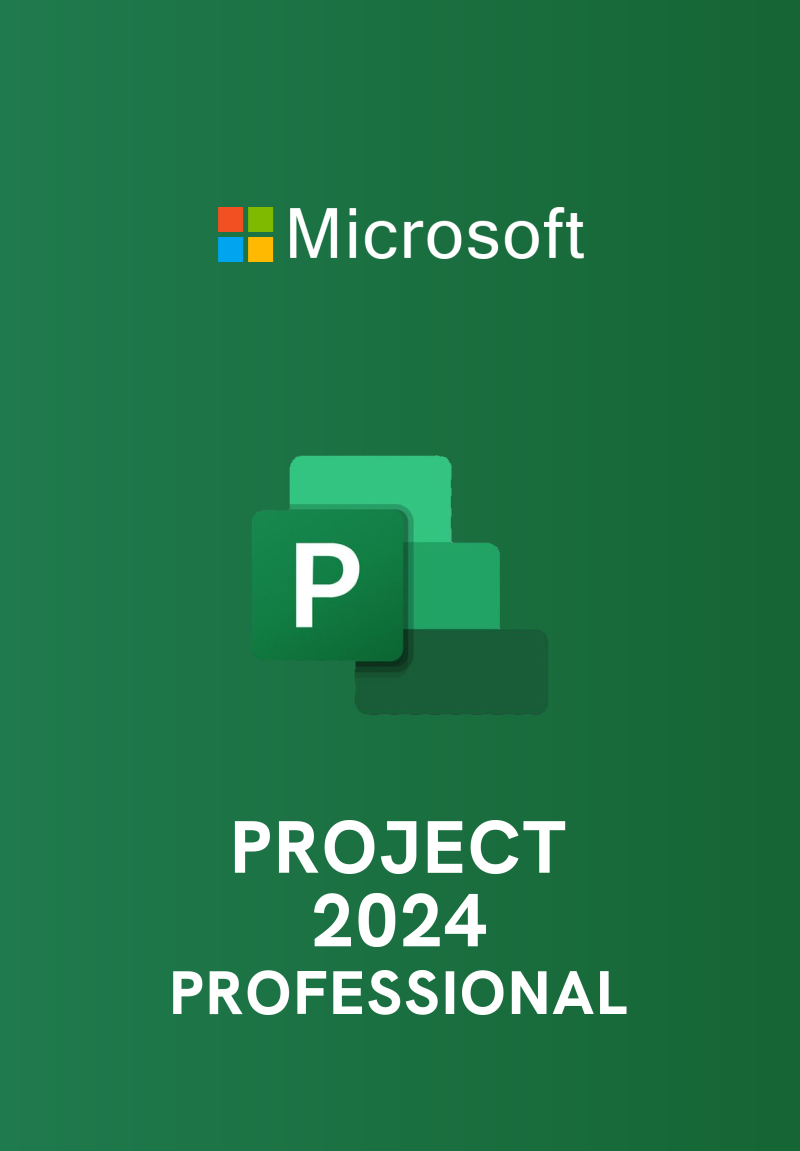 Microsoft Project 2024 Professional