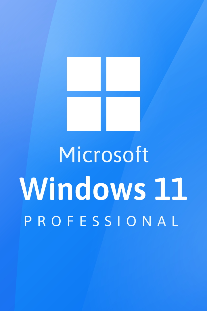 Microsoft Windows 11 Professional