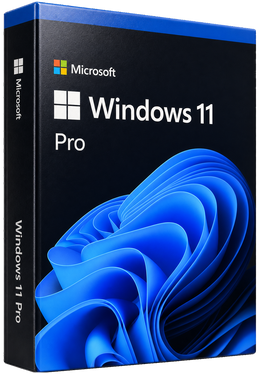 Microsoft Windows 11 Professional