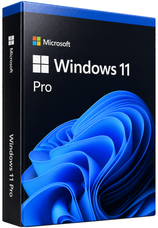 Microsoft Windows 11 Professional