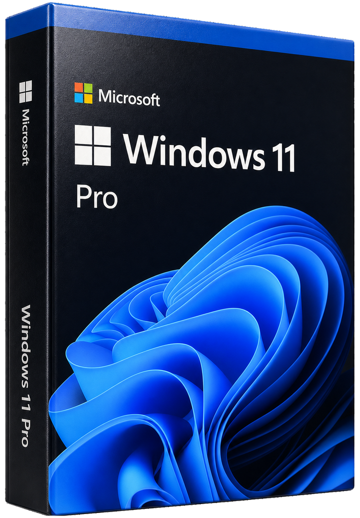 Microsoft Windows 11 Professional