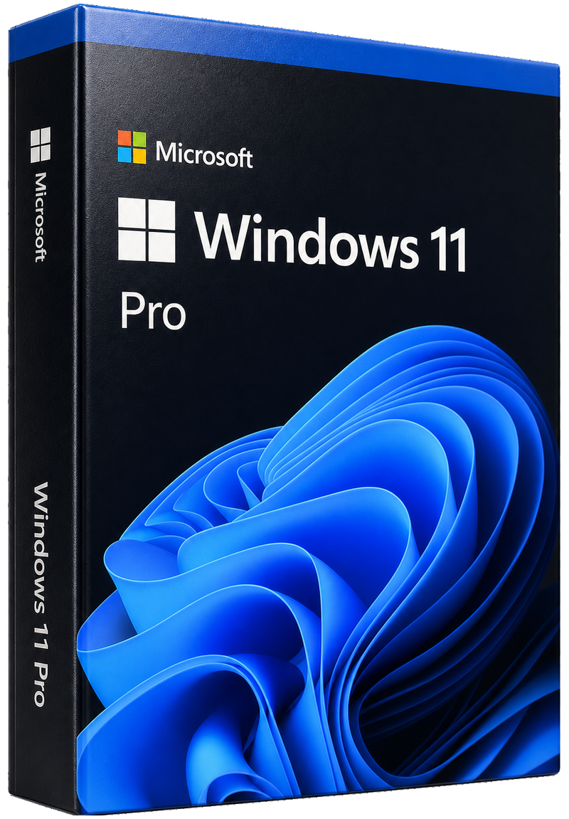 Microsoft Windows 11 Professional